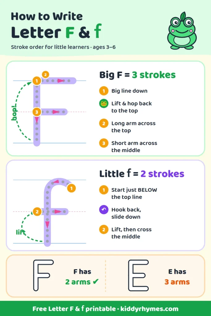 Stroke order for capital F and lowercase f