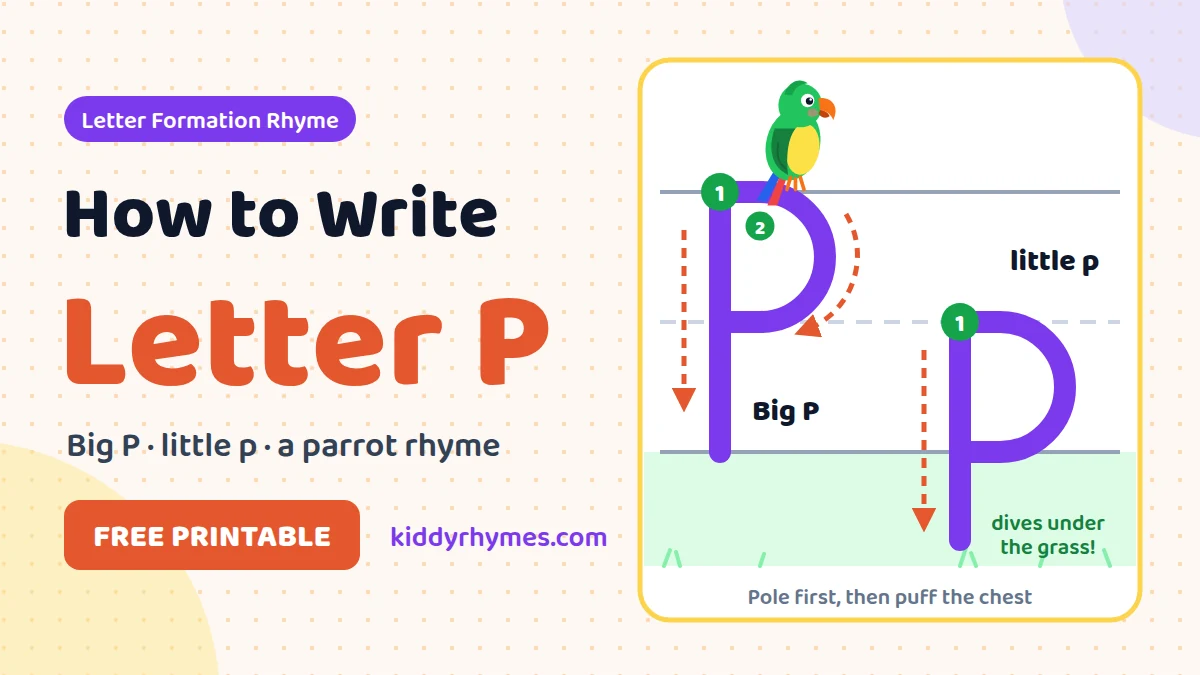 How to write letter P: a pole first, then a curve that stops at the middle line; little p dives below the line